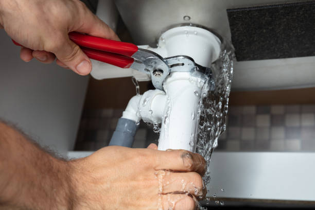 Best Professional water damage repair  in Snow Hill, MD