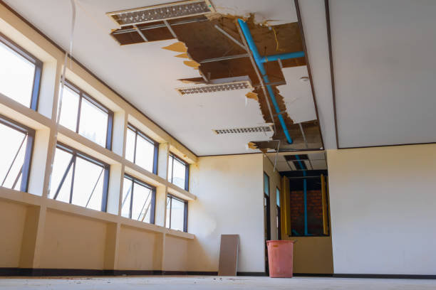 Best Mold removal after water damage  in Snow Hill, MD