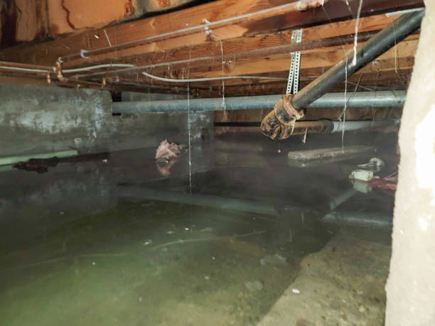 Best Fire Damage Restoration  in Snow Hill, MD