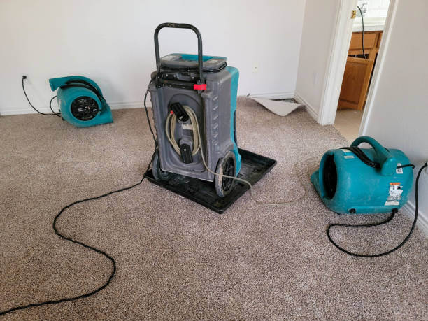 Best Water damage cleanup near me  in Snow Hill, MD