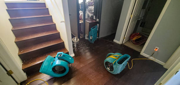 Best Local water damage restoration  in Snow Hill, MD