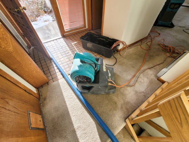 Best Emergency water damage restoration  in Snow Hill, MD