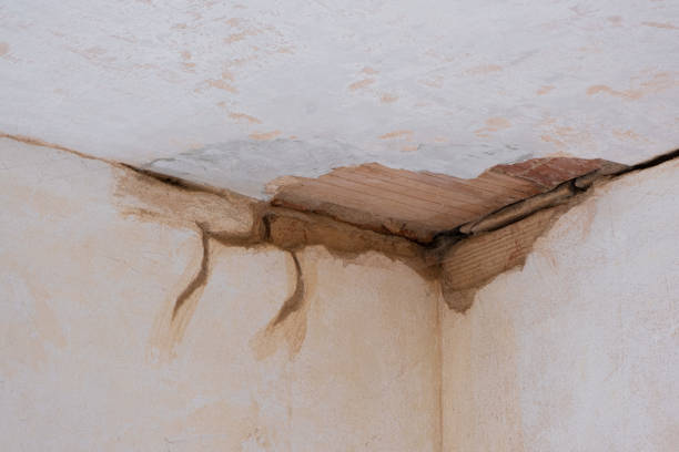 Best Local water damage restoration  in Snow Hill, MD