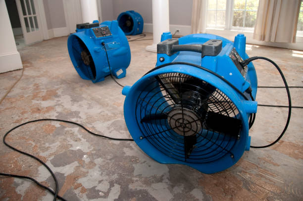 Best Water damage restoration near me  in Snow Hill, MD