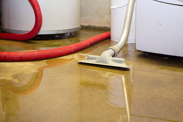 Best Basement water damage restoration  in Snow Hill, MD