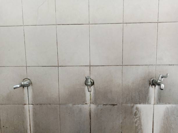 Best Water damage restoration services  in Snow Hill, MD