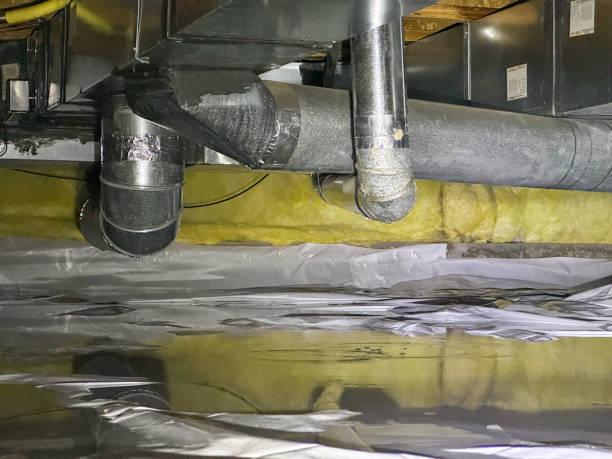 Best Water damage cleanup near me  in Snow Hill, MD