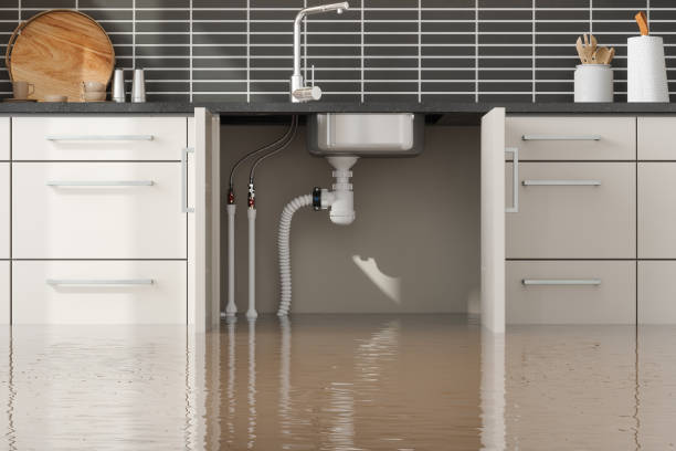 Best Carpet water damage restoration  in Snow Hill, MD