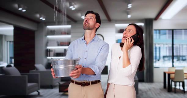 Best Ceiling water damage repair  in Snow Hill, MD